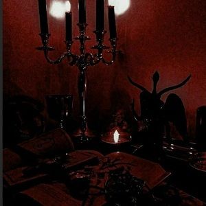 Meet your Posher, Bailey